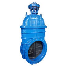 DIN/BS/ANSI/SABS Big Size Resilient seated Gate Valve